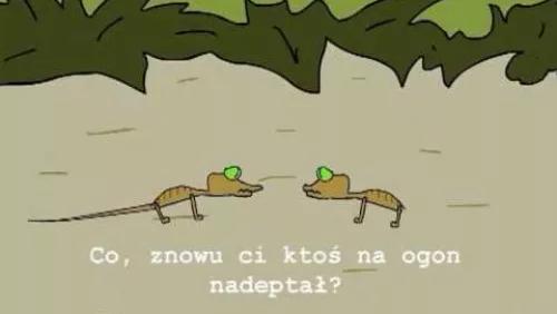Ogon Jaszczurki
