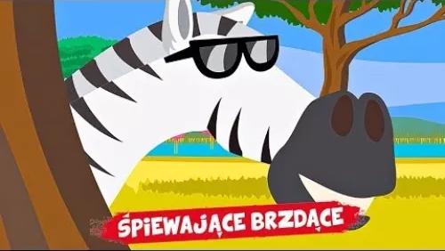 Pani Zebra