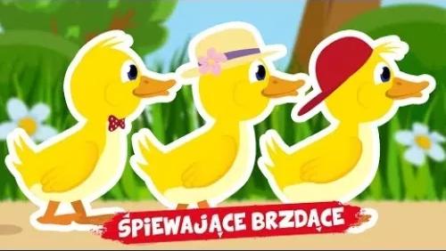 Idą Kaczuszki