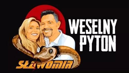 Weselny Pyton