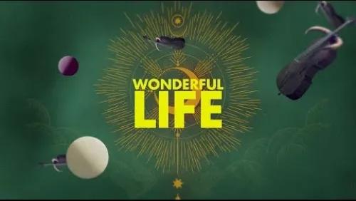 Wonderful Life (Stream Jockey Rework)