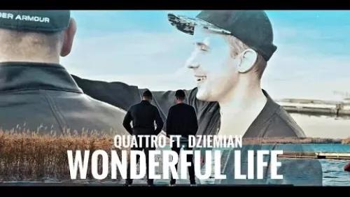 Wonderful Life