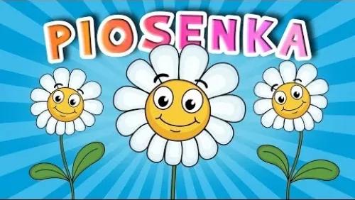 Stokrotka