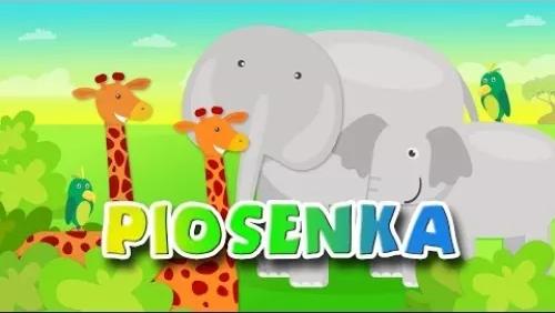 Safari