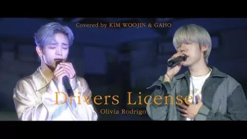 Drivers License