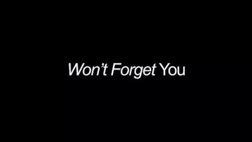 Won't Forget You