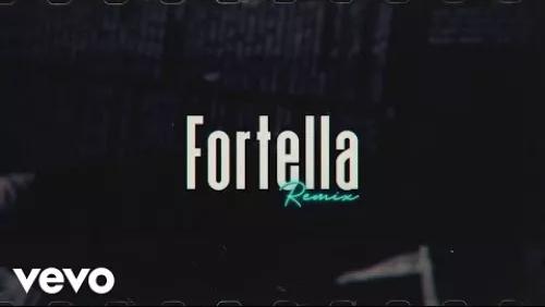 Still (I Got Summer On My Mind) (FORTELLA Remix)