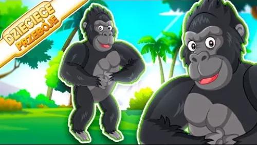 Goryl Boryl