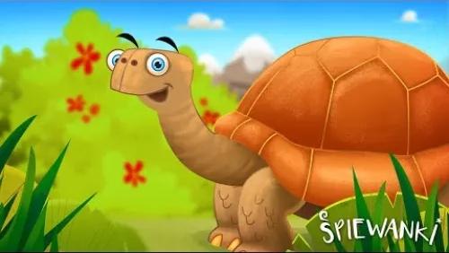 Żółw z Galapagos