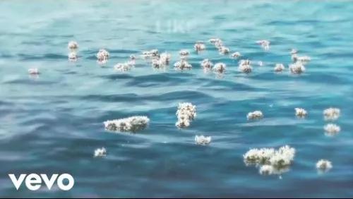 Flowers In The Water
