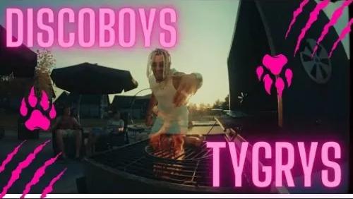 Tygrys