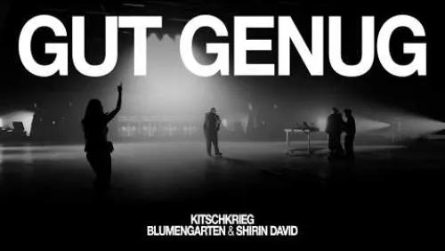 Gut Genug