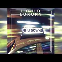 element.media.artist.name