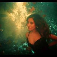 element.media.artist.name