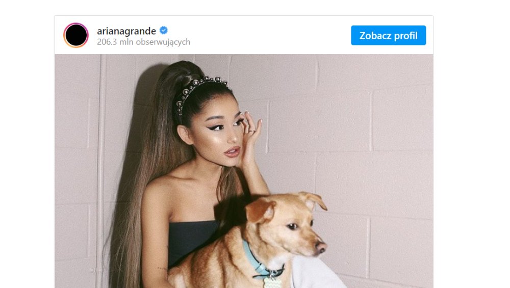 Ariana Grande otworzyła ośrodek pomocy dla zwierząt! „Jesteśmy dumni”