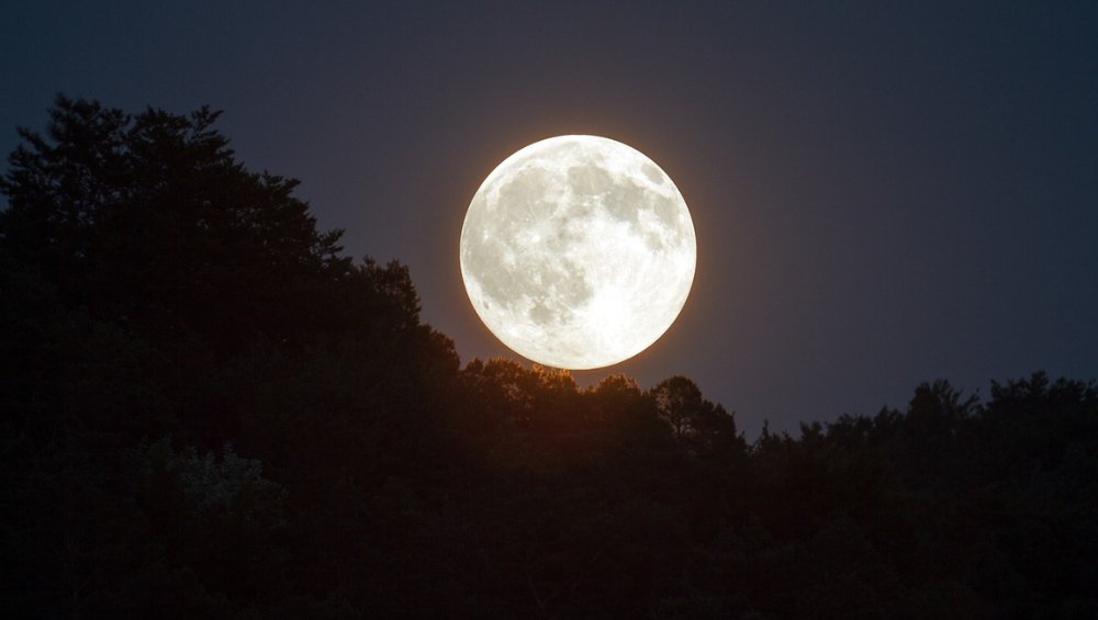 Pełnia Księżyca – wrzesień 2022. Kiedy oglądać Pełnię Księżyca Plonów?