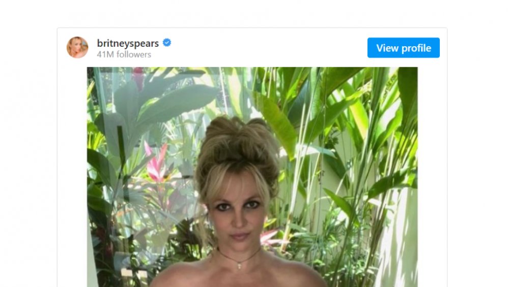 Naga Britney Spears znowu w sieci. Dlaczego wrzuca takie zdjęcia? Ekspert komentuje [18+]