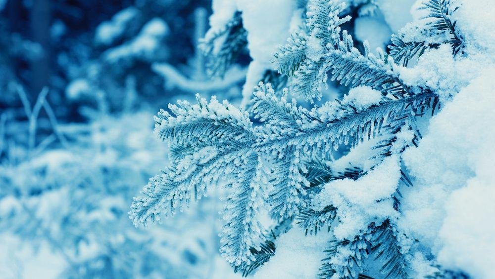 Zima 2022. Kiedy pierwszy dzień zimy i najkrótszy dzień w roku?