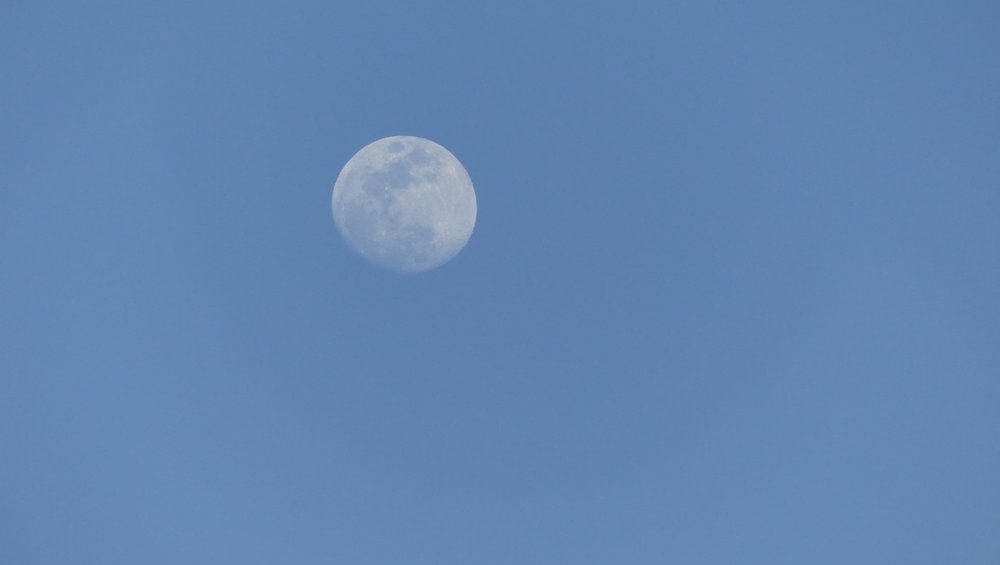 Pełnia księżyca – lipiec 2023. Kiedy oglądać Koźli Księżyc?