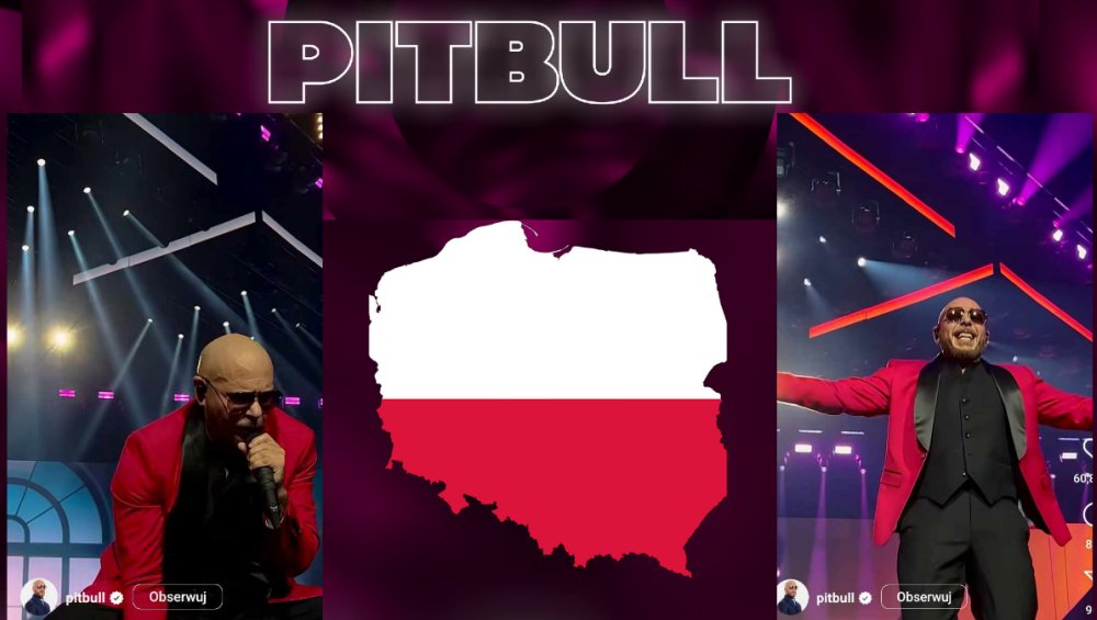 Pitbull zagra koncert w Polsce?! TO zelektryzowało fanów