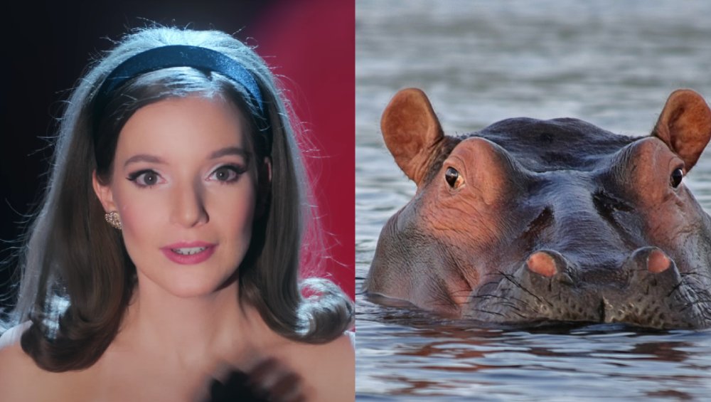 sanah adoptowała… hipopotama! Jak to możliwe?