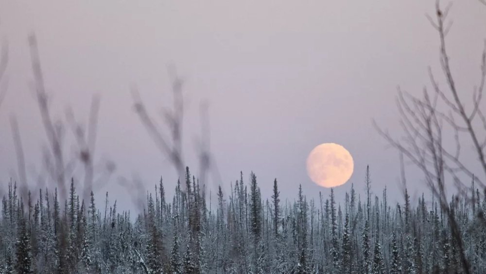 Pełnia w grudniu. Kiedy oglądać Zimny Księżyc?