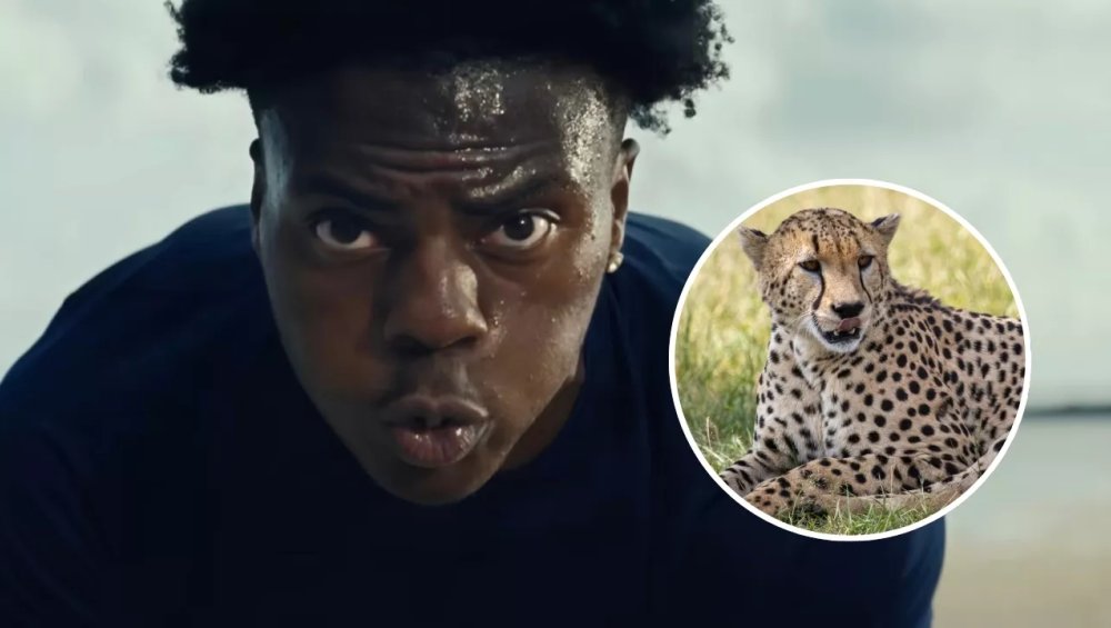 IShowSpeed kontra gepard. Kto był szybszy?