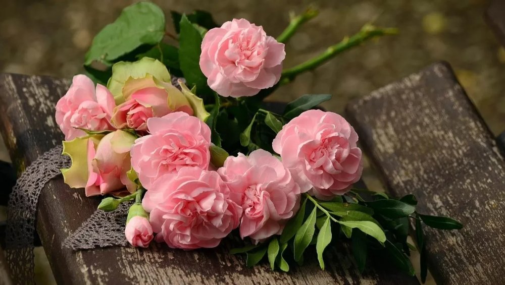 Życzenia dla Barbary na imieniny - wierszyki do wysłania, gify