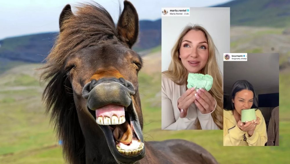 Influencerzy jedzą przysmak dla… koni. Oto nowy trend