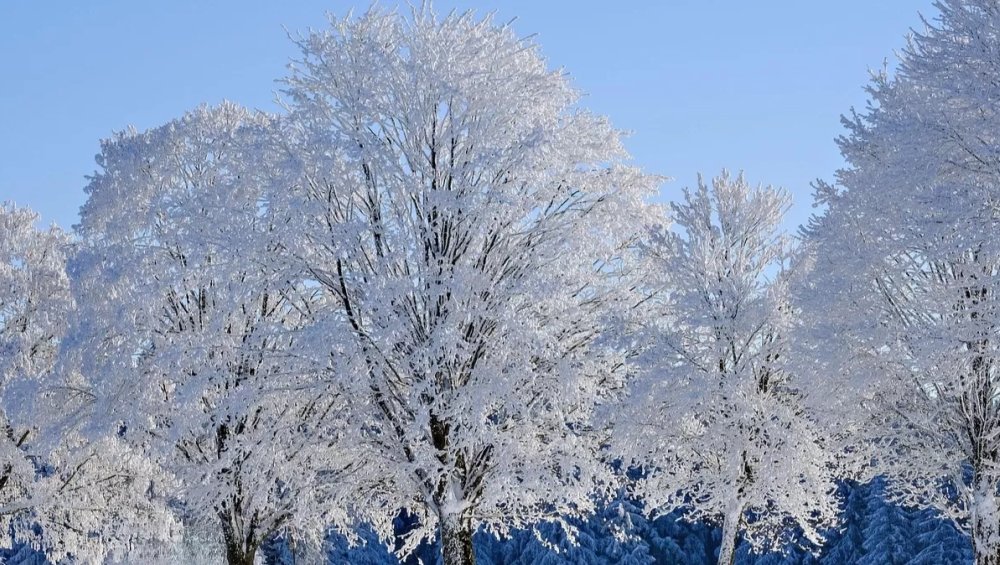 Zima 2025: kiedy początek kalendarzowej, a kiedy astronomicznej?