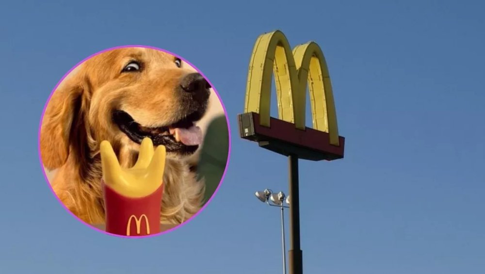 McDonald’s uwzględnił czworonogi w swojej ofercie. Czy zestaw trafi do Polski?