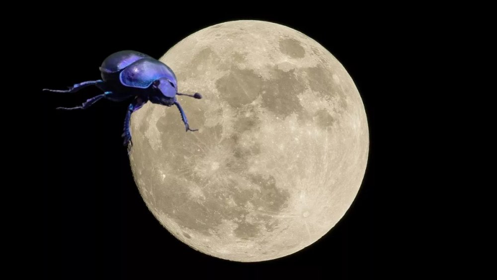 Pełnia w marcu. Kiedy oglądać Robaczy Księżyc?