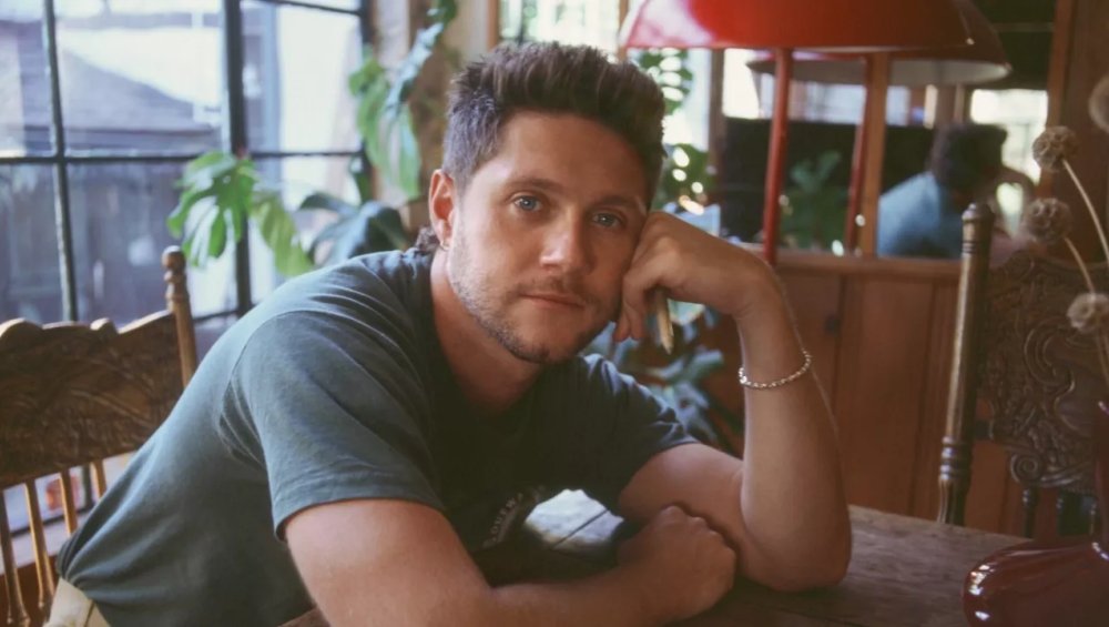 Niall Horan zagra koncert w Polsce! Kiedy i gdzie?