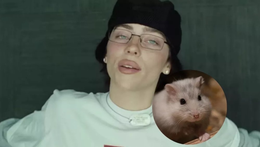 Chomik Billie Eilish… mieszkał w ścianie przez cztery dni. Artystka do dziś to wspomina