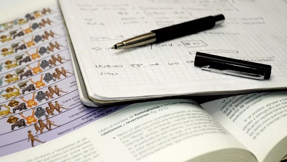 Wyniki matur 2026: gdzie je sprawdzić 8.07?