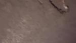 4.webp