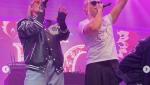11.webp